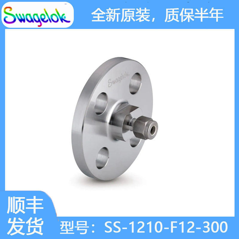 Swagelok世伟洛克SS-1210-F12-300不锈钢 ANSI 法兰转换接头3/4in