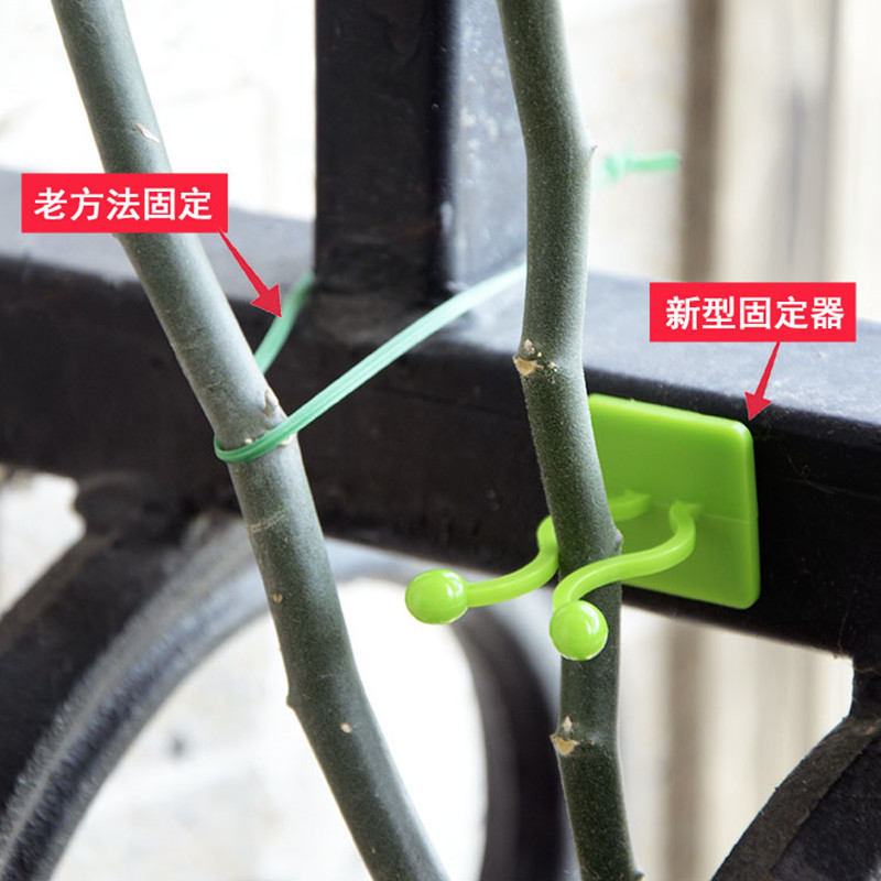 绿萝爬墙上花器绿植固定器绿箩家用无痕卡扣绿枝爬藤杆夹子室内|undefined