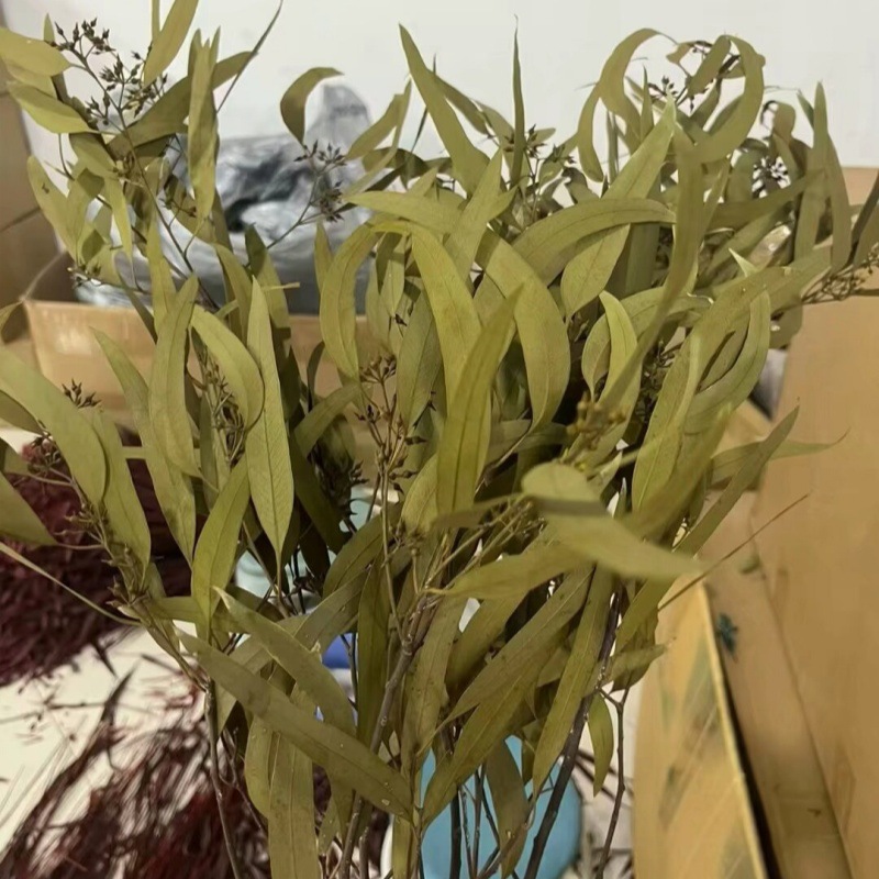 기장 과일 잎 노란색