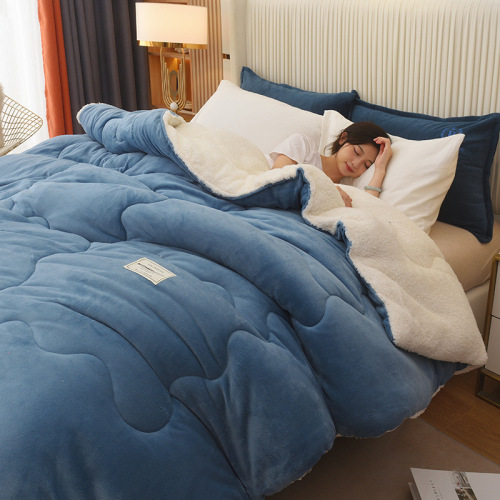 Warm lamb velvet winter quilt double-sided thickened milk velvet quilt student dormitory double quilt blanket quilt core wholesale