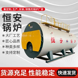 燃气锅炉;蒸汽发生器;燃油锅炉