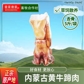 首菜首家内蒙生牛蹄肉1斤/件火锅烧烤食材冷冻食品牛肉牛腱批发