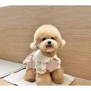 ���l�F�eȮ̩����Ȯ̩�Ϲ�С��Ȯ���w�㙉ɫ�豭Ȯ����Ȯ���ﹷ