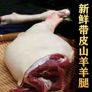 ���������rɢ�B����ԭ�Ў�Ƥ��������������ɽ������ǰ���������