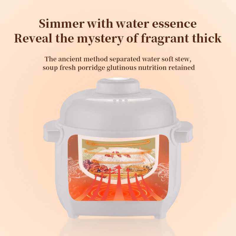 Automatic Soup Pot Ceramic Electric Cooker Gift Smart Electric Stewer with Steamer Scheduled Heating Separating Water Stewing
