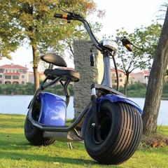 工場直販変更可能なハーレー輸出オートバイ大人用電気自動車レジャートランスポートスクーターリチウム電池60v