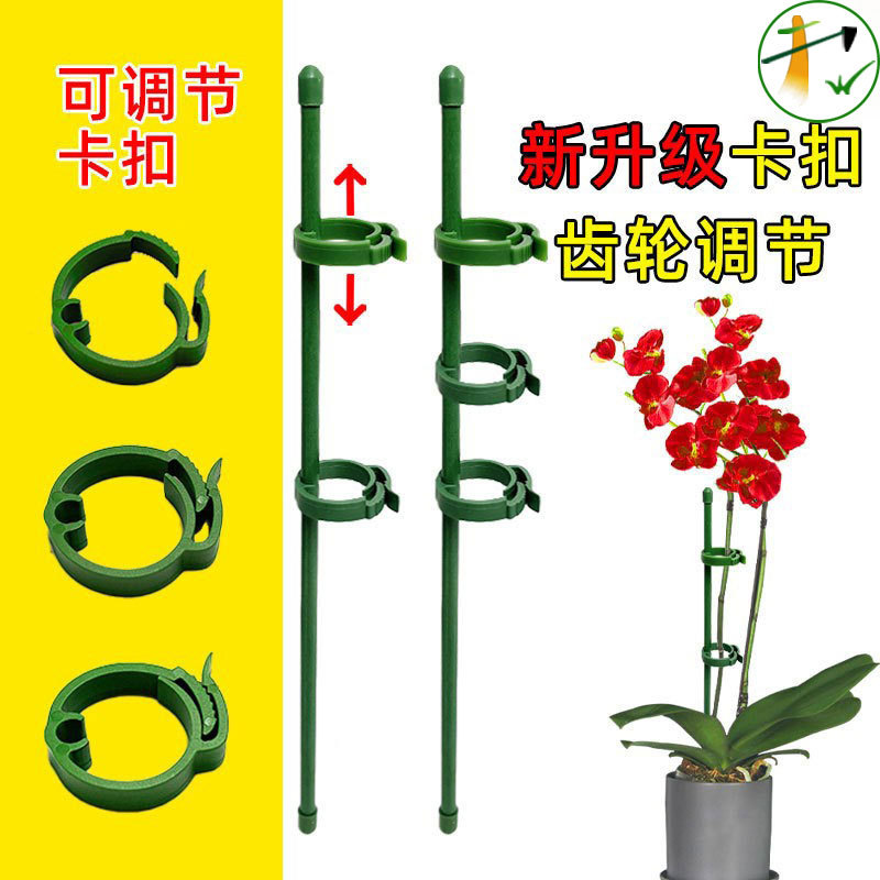 新升级多肉蝴蝶兰专用花架支架植物盆栽花卉造型支撑杆固定护叶架