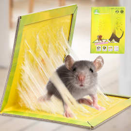 捕鼠粘鼠板  家用老鼠笼沾胶夹药抓捉大老鼠贴驱粘合力强量大优惠