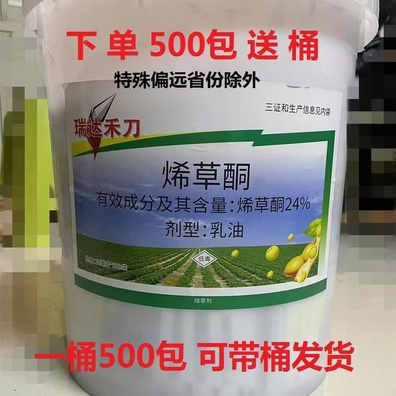 微信图片_20250512111349