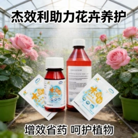 栽培基质;生物肥料;防虫防蛀