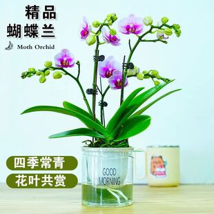�����������m�S��ɫ������՚�ˮ�����˺��B�W�t�҃ȿ͏d����
