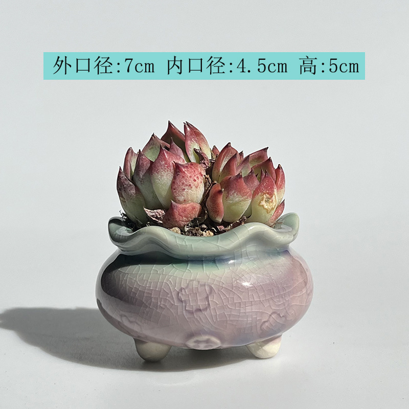 新商品の植木鉢の氷が裂けて虹色が清新で可愛いです。|undefined
