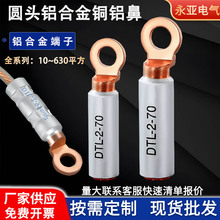 圆头铝合金端子DTL-2铜铝接线鼻子16~630平方断路器空开专用