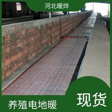 24k石墨烯养殖电地暖 厂家直发 控温 物美价廉 暖烨