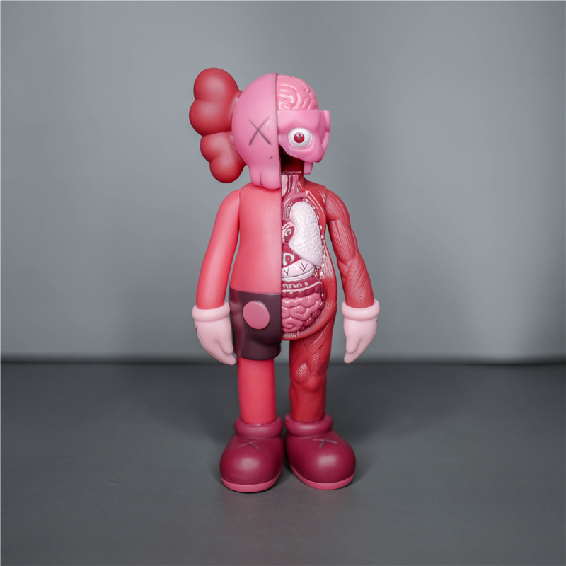 半解剖红-20cm