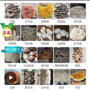 ������ȫ���p���^���t����Ǿ�ľ������¶�u�;�ţ�ξ��ݹ�