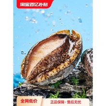 新鲜大鲍鱼九孔鲍鱼花胶鸡鲜活冷冻小干鲍佛跳墙加热即食炖盅