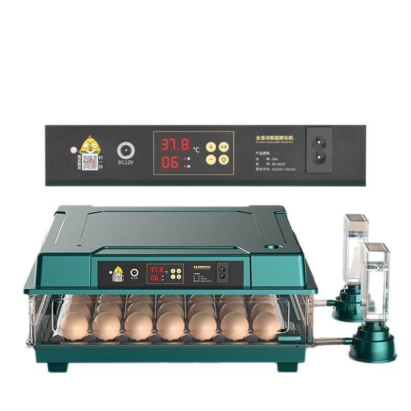 直销鸡苗孵化小鸡孵化器小型孵化机全自动智能家用型孵蛋器雏鸡