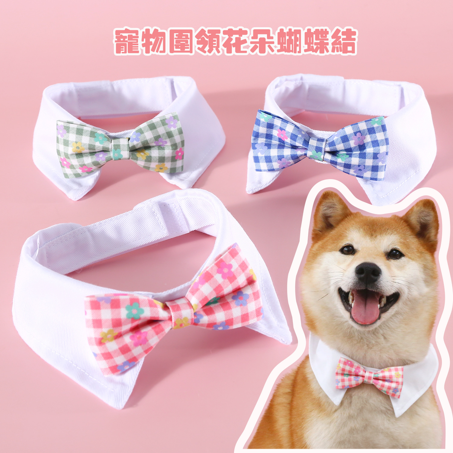 puppyone用主图