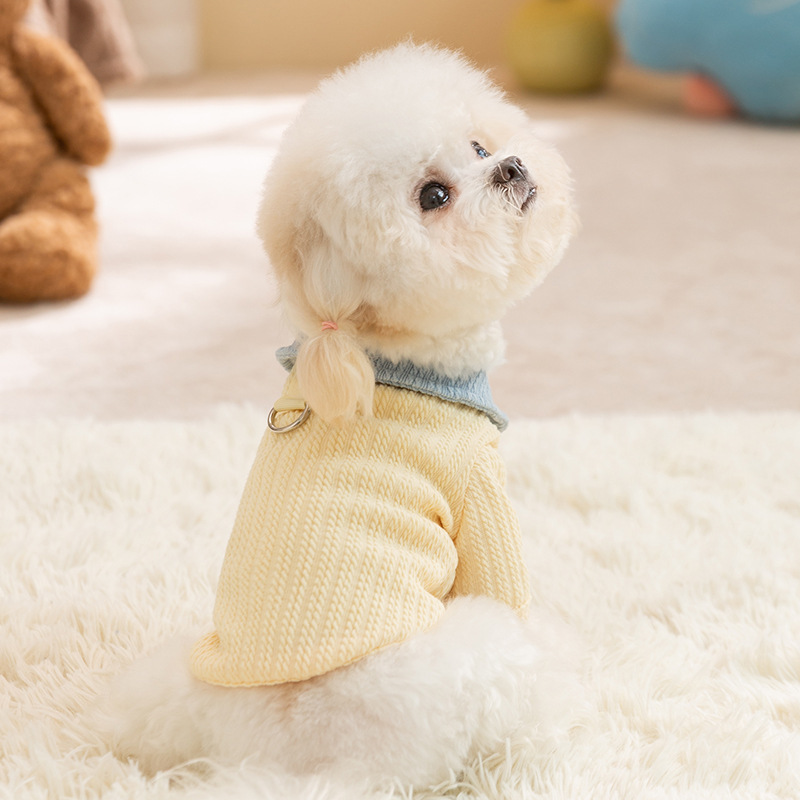Autumn and winter dog clothes cute puppy color matching base shirt two-legged home warm teddy bear pet clothing