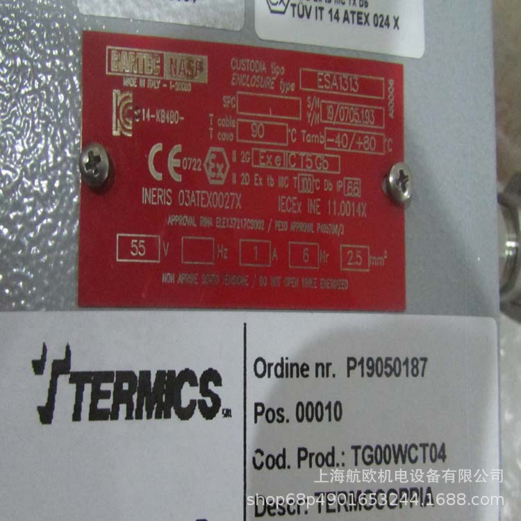 TERMICS热电偶TG00WCT04 P1