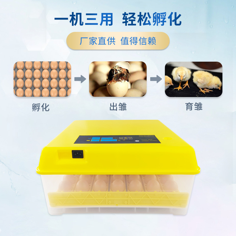 56 unidades de incubadora automática inteligente hogar incubadora de pollo pequeño mini pollo pato codorniz equipo de incubación