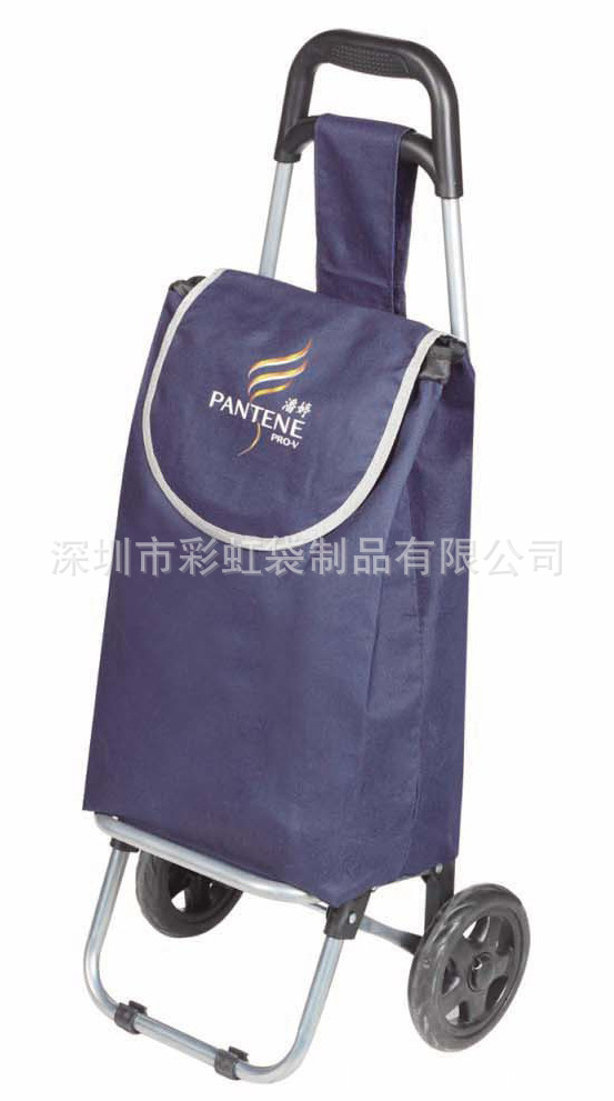 ����������Ӧƽͷ��ﳵ�������˹��ﳵ��Я��˹������˳�