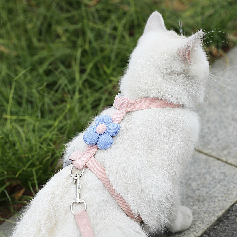 猫漫画牽引ロープ外出時の脱走防止I字型調節可能なペット専用ラグドールテディ小型犬用|undefined