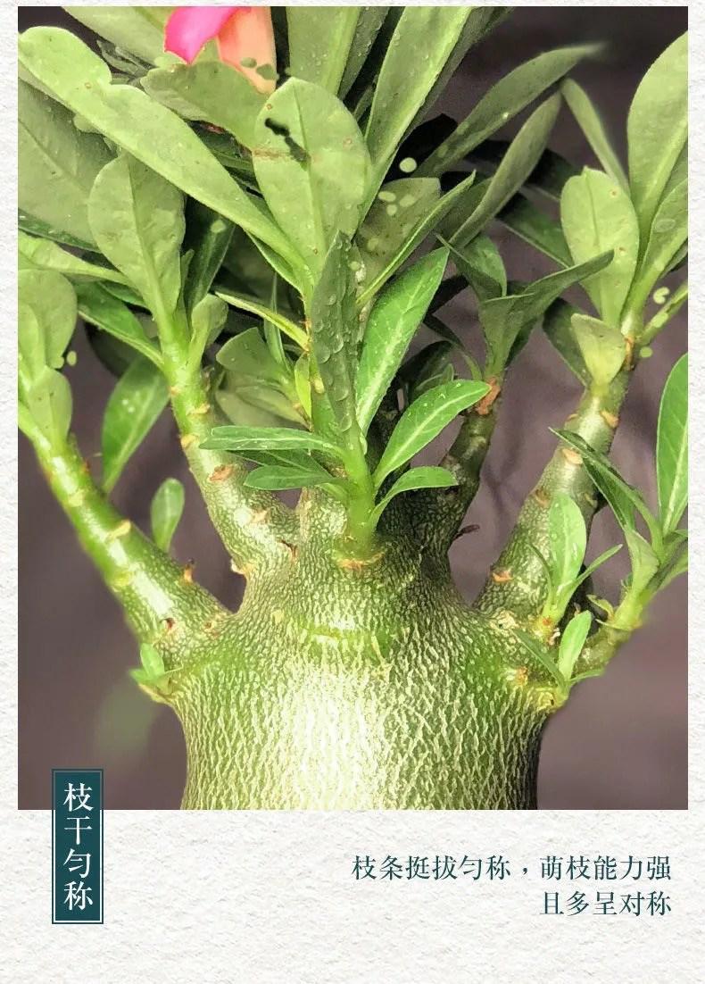 b55ea61e-a127-413f-a4ba-ed7a82143985.jpe