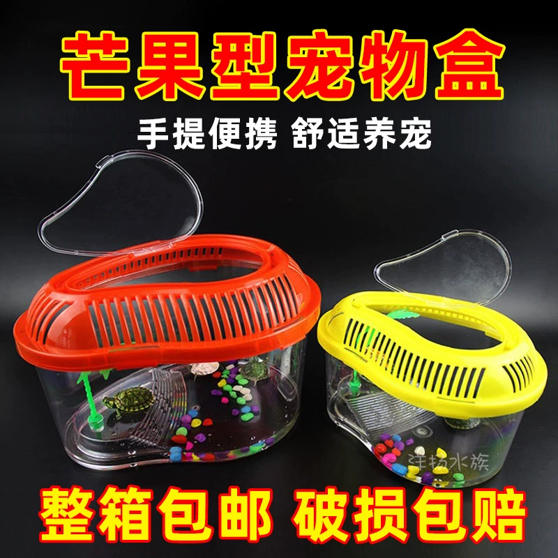 Бак для черепахи Бак для золотой рыбки Pet Box Пластиковая коробка для черепахи Портативная бутылка для черепахи Коробка для манго Прозрачная коробка для хомяка Большой и средний маленький размер