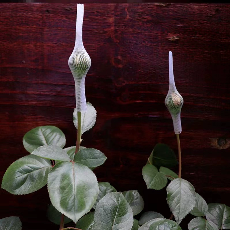 Розовая сетчатая крышка пластиковая сетчатая крышка цветок Хризантема Роза сетчатая крышка цветочный бутон Защитная крышка сетка Цветочная сетка