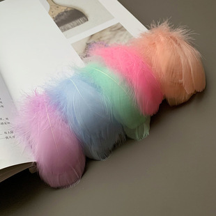 ��ɫ��ë�b�Ⱦɫ�Zë���hdiy�ֹ������W��؈���Y�������ϵ���