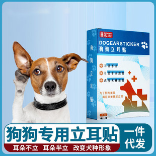 ѩ�{�𹷹������N���������o�������eȮ�����»�������С��������