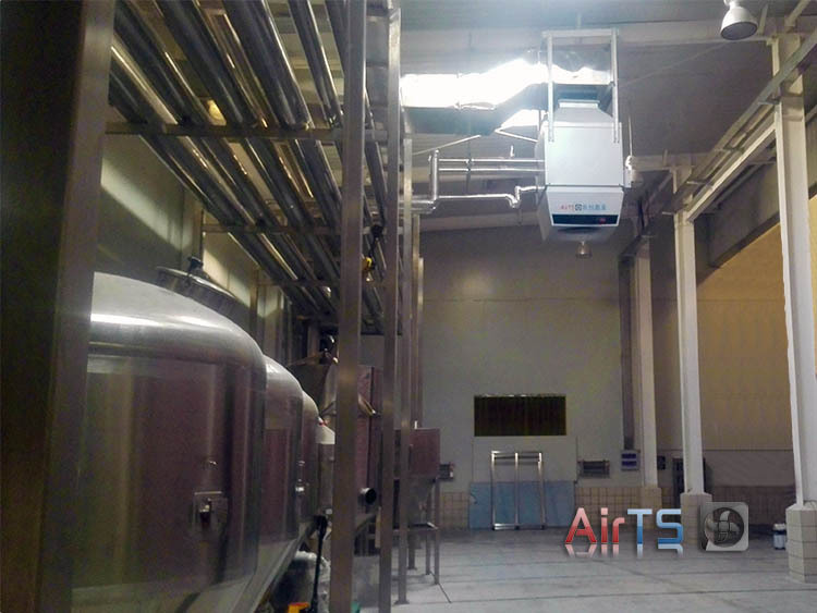 �ߴ�ռ��ʪ�������Ȼ���AirTS-HKϵ��