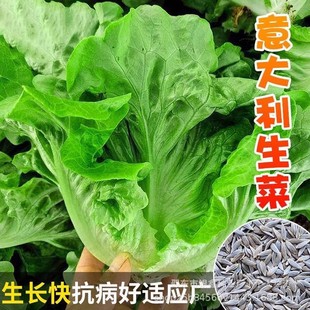 ��������˷N�Ӳ���̦��������ԭ�b�ļ��߲˷N�Ӵ�ȫ�˷N�Ӵ����l