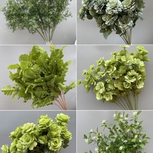 cˇGֲPβ~ȼXݲþGɫϻY