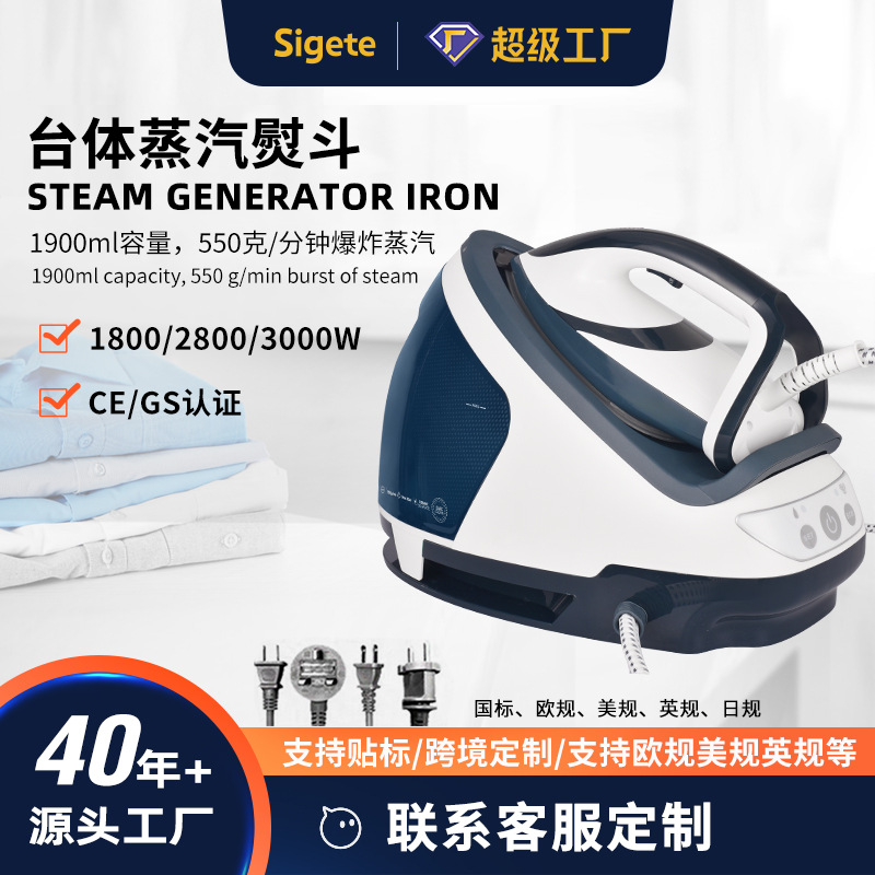 High-Power Large Water Tank Electric Iron, Boiler, Garment Steamer, Dual-Use for Dry and Wet Ironing, Home and Commercial Use, Foreign Trade, Cross-Border Customization