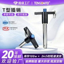 T型销不锈钢锁紧定位插销分度销弹簧销直径5-25mm紧固件分度销
