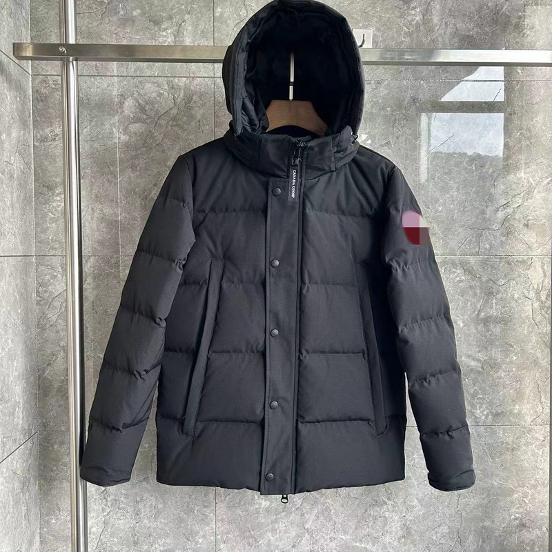 大鹅2048新款连帽白鸭绒羽绒服男女冬季加厚保暖外套简约百搭|undefined