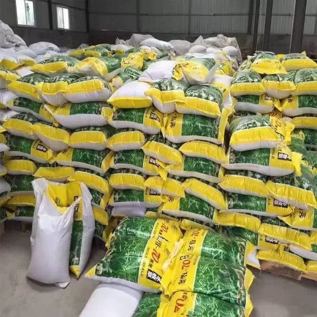 Winter Pasture 70 семян травы черной смородины Широколистная осенне-зимняя трава Холодостойкий высокоурожайный корм для крупного рогатого скота, овец, свиней, кур, уток, гусей и рыб.