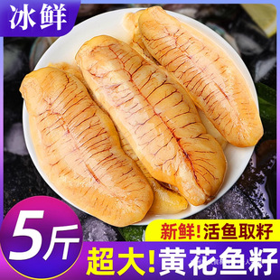 �S���~�����r�����~���~���~���~�ױ��r���r�~��������S�~���b