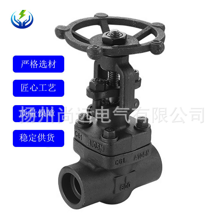 Z41H-16型整体法兰A105碳钢锻钢闸阀