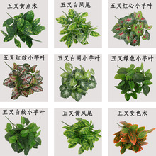 �羳��������Gֲ�ָз�������~׃ɫ�����������辰���^�쾰