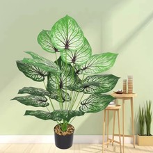 羳RdƷGֲWLҾb~ָz~^辰