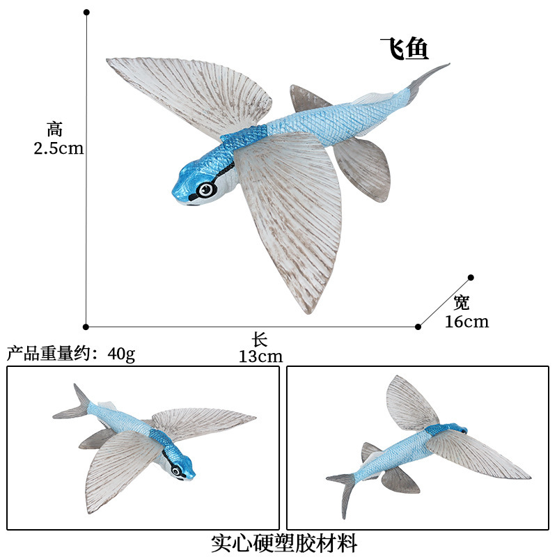 新品飞鱼模型