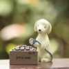 Puppy pouring gardening