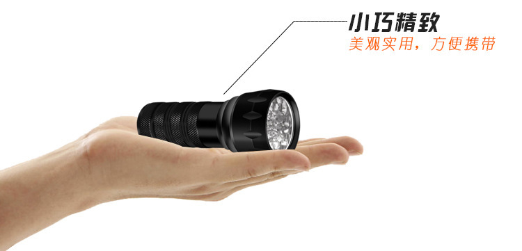 Uv Glue Curing Lamp 395 Purple Light Quick-Drying Ultraviolet Lamp 21Led Shadowless Glue Bonding Purple Light Flashlight