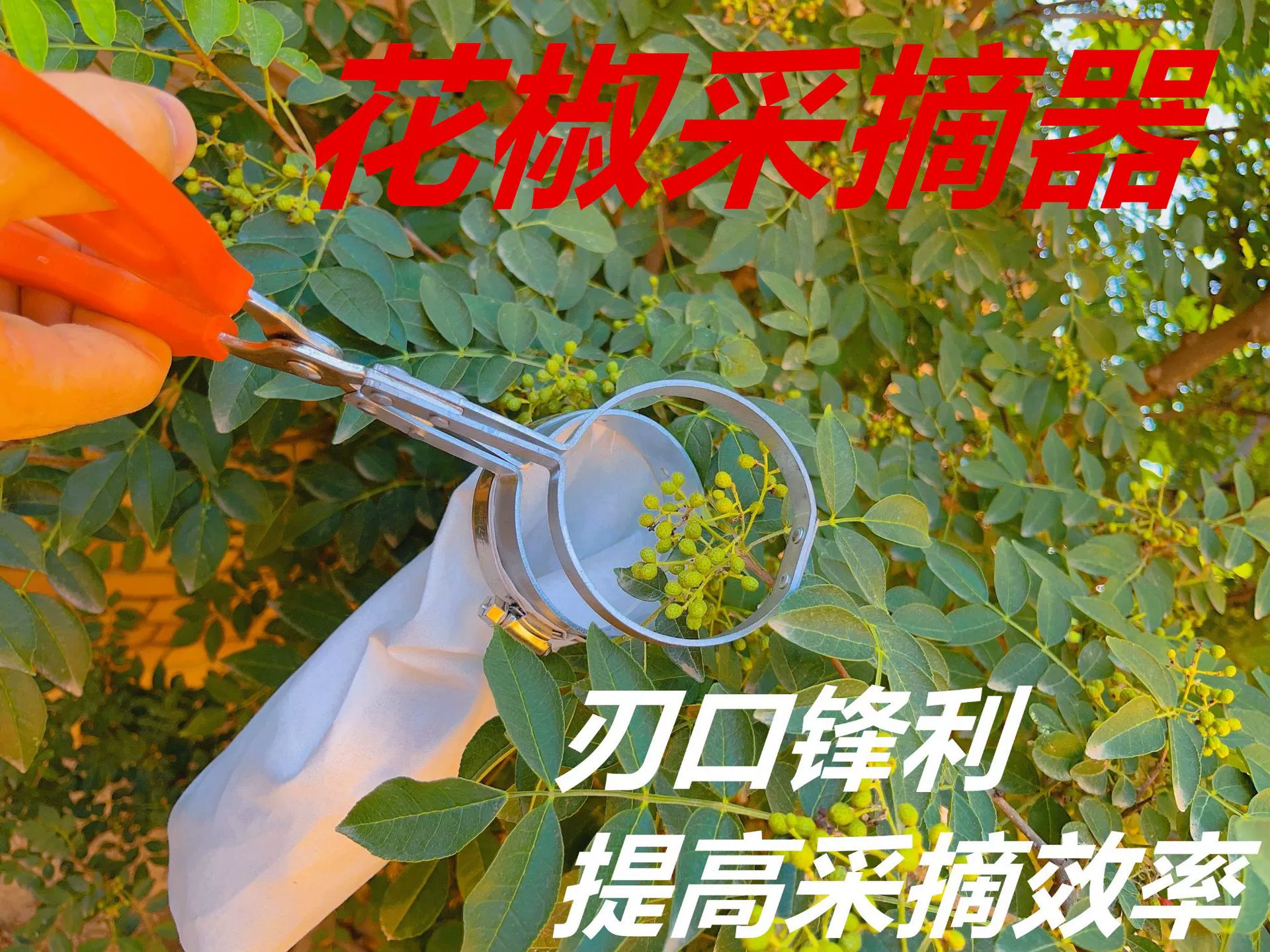 Новый колючий золы сборщик специальных фруктов сборщик экономит усилия для повышения эффективности колючий золы сбор лайчи инструмент колючий золы резки