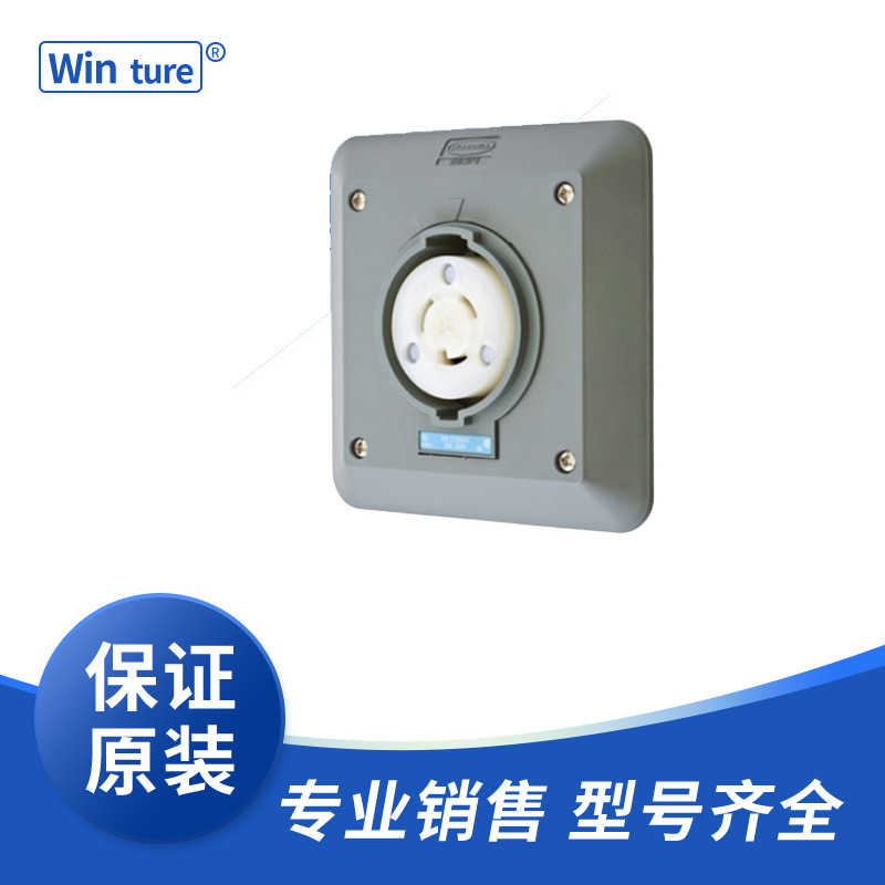 HBL2620SR2  30A  250V