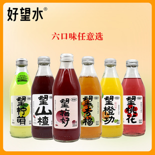 ����ˮ��ɽ��Ӹ�÷�óȹ������һ�300ml*6ƿ�M�Ϲ�֭�����Ʒ